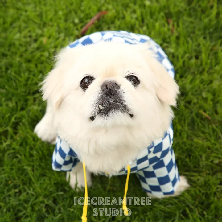 Blue Checker Raincoat - Pet Rain Jacket