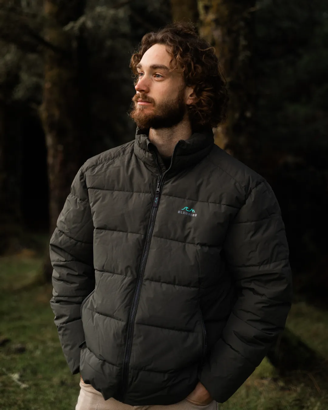 Ventoux Jacket - Mens - Forest