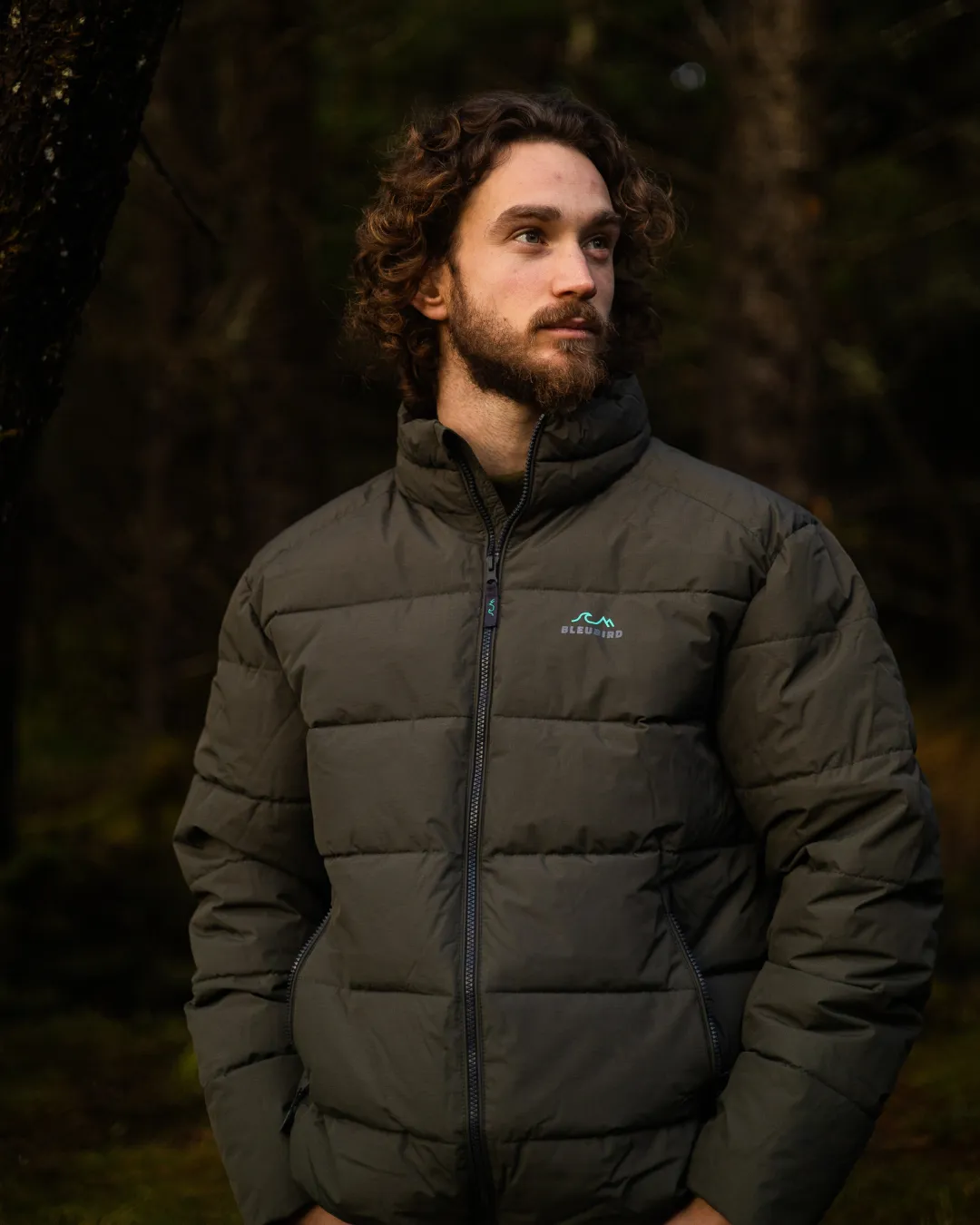 Ventoux Jacket - Mens - Forest