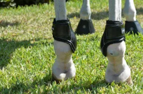 Young Horse Hind Boot by Equifit